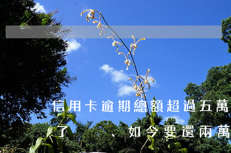 信用卡逾期總額超過五萬(五千的信用卡逾期了、如今要還兩萬多)